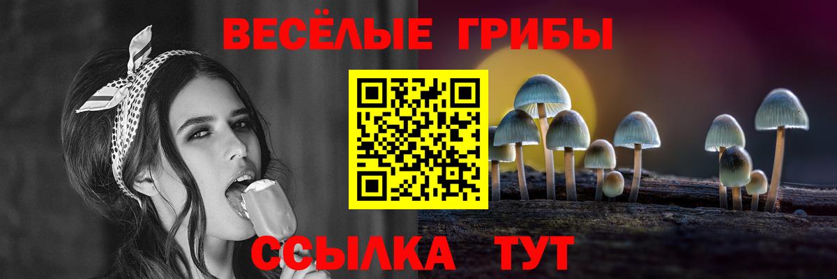 Галлюциногенные грибы Cubensis  Вход с VPN  Минеральные Воды 